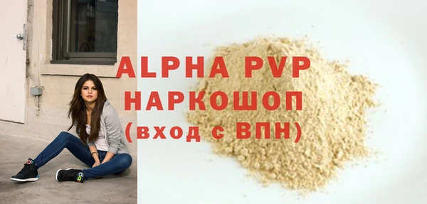 шишки Белоозёрский