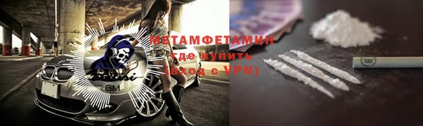 шишки Белоозёрский