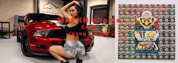 шишки Белоозёрский
