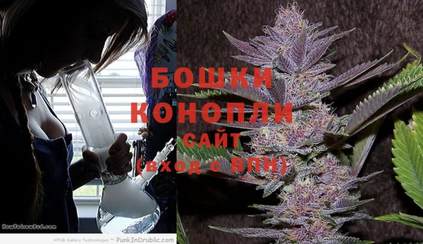 шишки Белоозёрский