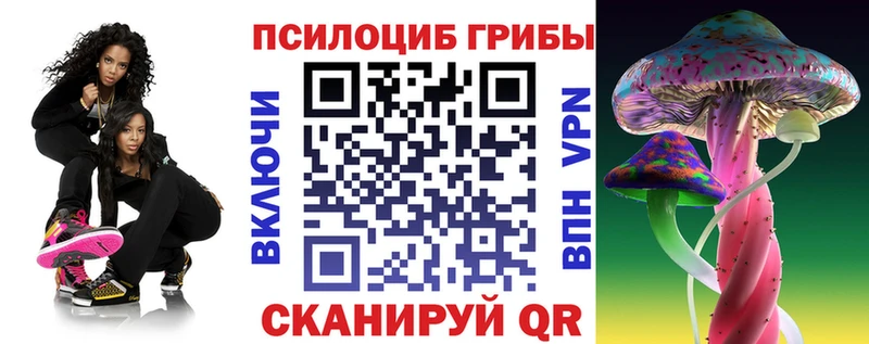 Псилоцибиновые грибы Psilocybine cubensis Минеральные Воды
