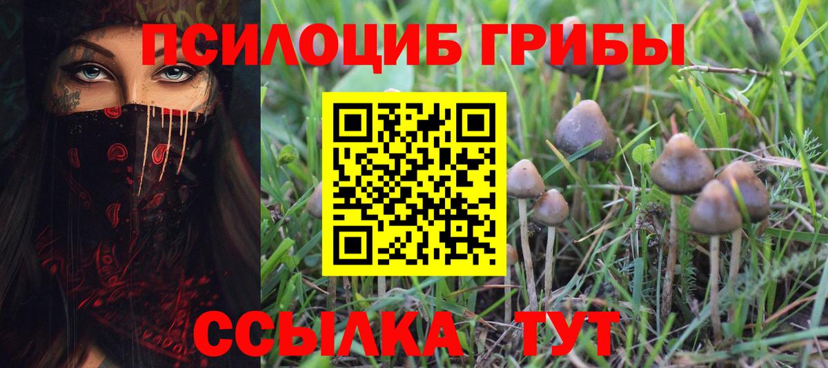 Минеральные Воды  Псилоцибиновые грибы мицелий  наркота  Вход с VPN  Галлюциногенные грибы мухоморы 